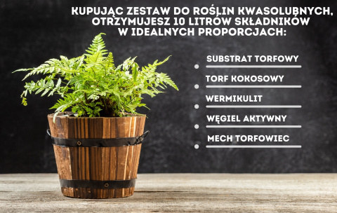 Zestaw do roślin kwasolubnych